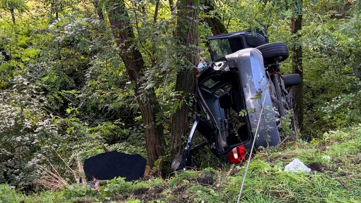 Auto s ženou a dítětem se po havárii na Berounsku zarazilo o stromy ve srázu nad potokem